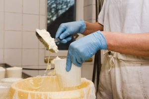 Cómo influye el proceso de fabricación en la calidad del queso: del bienestar animal al producto final
